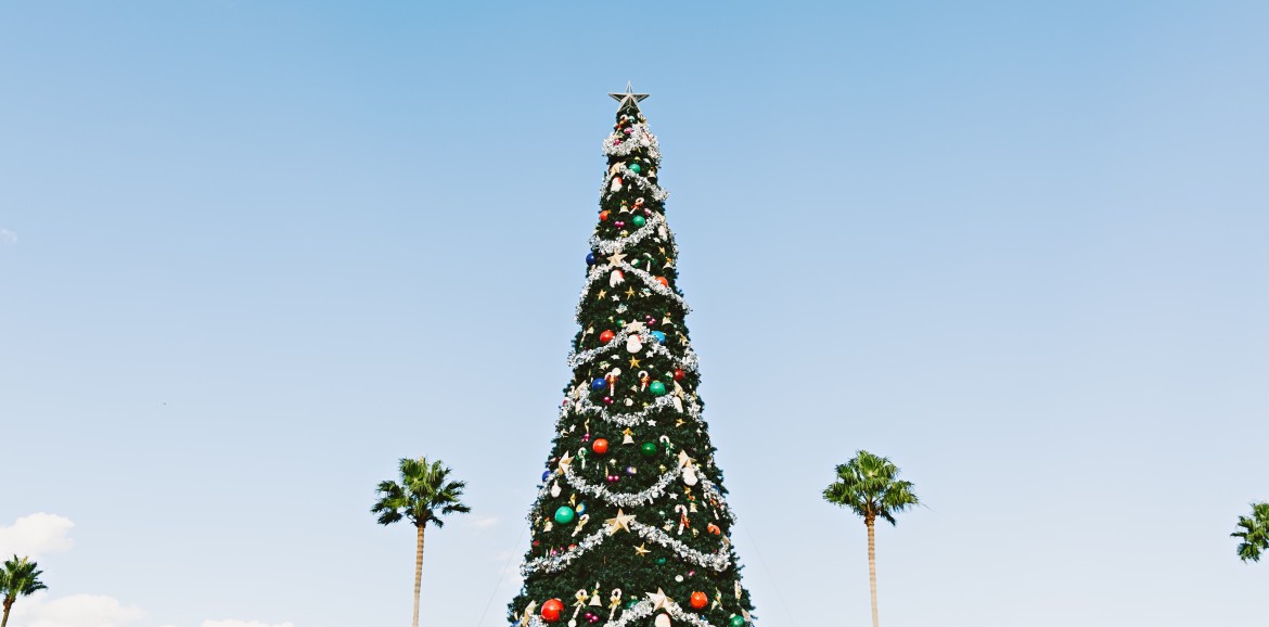 Esta navidad, un árbol diferente